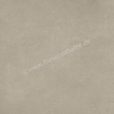Ariostea Next Greige 60x60 cm Bodenfliese / Wandfliese Matt Eben Natural Plus P6632 | 488405