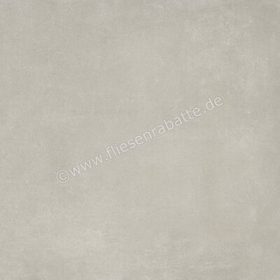 Ariostea Next Grey 60x60 cm Bodenfliese / Wandfliese Matt Eben Natural Plus P6633 | 488414