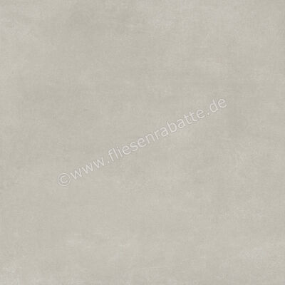 Ariostea Next Grey 60x60 cm Bodenfliese / Wandfliese Matt Eben Natural Plus P6633 | 488432