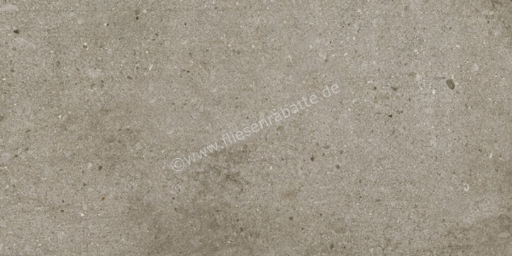  Ariostea Teknostone Taupe 30x60 cm Bodenfliese / Wandfliese Matt Strukturiert Natural Plus P360507 | 488879