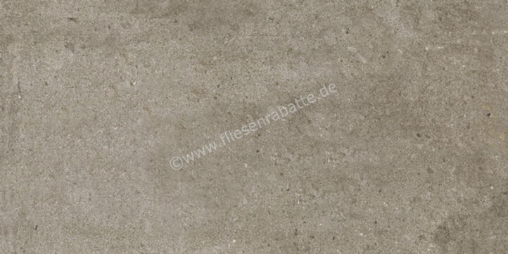  Ariostea Teknostone Taupe 30x60 cm Bodenfliese / Wandfliese Matt Strukturiert Natural Plus P360507 | 488882