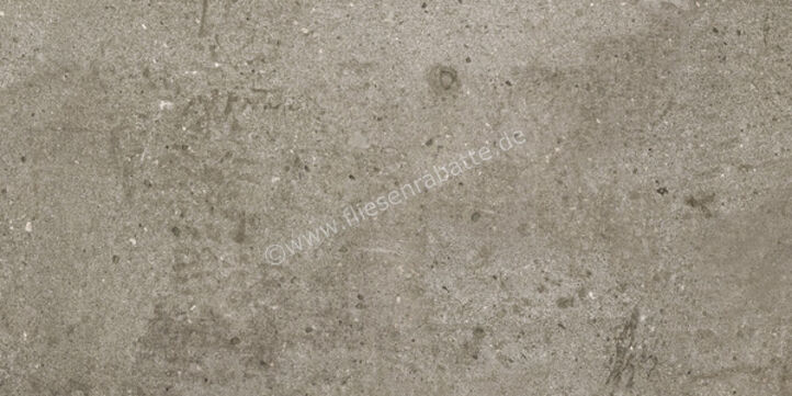  Ariostea Teknostone Taupe 30x60 cm Bodenfliese / Wandfliese Matt Strukturiert Natural Plus P360507 | 488891
