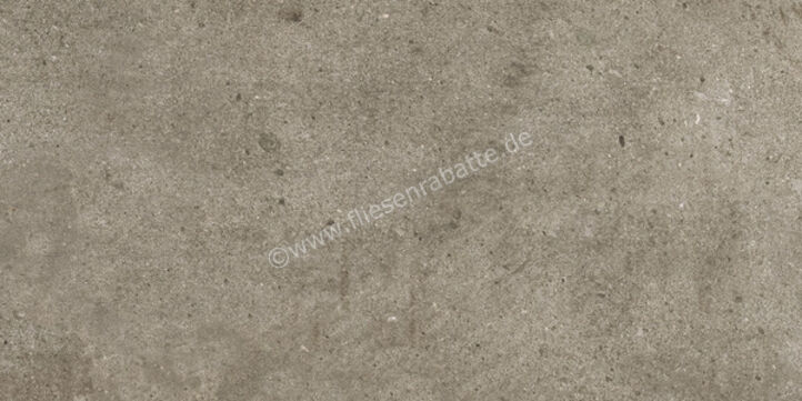  Ariostea Teknostone Taupe 30x60 cm Bodenfliese / Wandfliese Matt Strukturiert Natural Plus P360507 | 488897