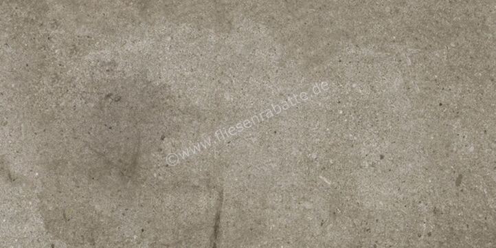  Ariostea Teknostone Taupe 30x60 cm Bodenfliese / Wandfliese Matt Strukturiert Natural Plus P360507 | 488900