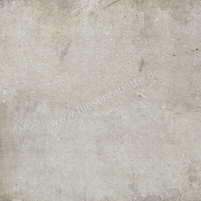  Ariostea Teknostone Light Grey 60x60 cm Bodenfliese / Wandfliese Matt Strukturiert Natural Plus P6503 | 489044