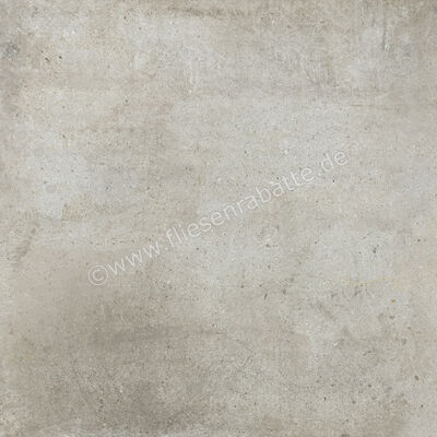  Ariostea Teknostone Light Grey 60x60 cm Bodenfliese / Wandfliese Matt Strukturiert Natural Plus P6503 | 489050