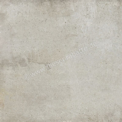  Ariostea Teknostone Light Grey 60x60 cm Bodenfliese / Wandfliese Matt Strukturiert Natural Plus P6503 | 489056