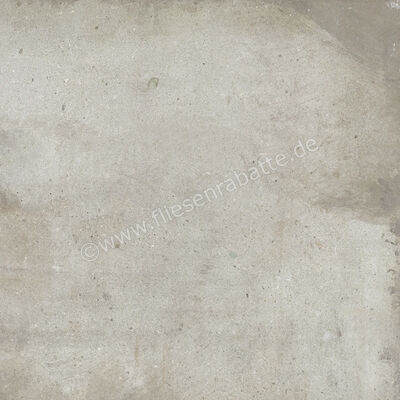  Ariostea Teknostone Light Grey 60x60 cm Bodenfliese / Wandfliese Matt Strukturiert Natural Plus P6503 | 489065