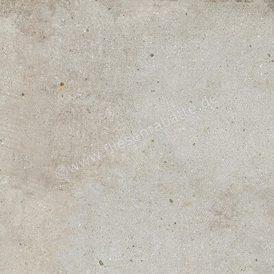  Ariostea Teknostone CM2 Outdoor Light Grey 60x60x2 cm Terrassenplatte Matt Strukturiert Antislip PMS60503 | 489425