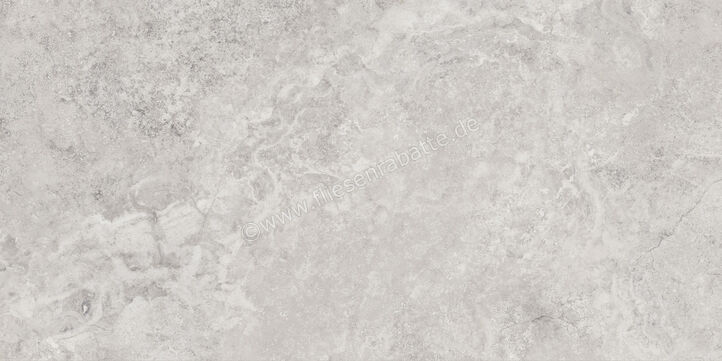 Monocibec Mythology Regia Silver 60x120 cm Bodenfliese / Wandfliese Glänzend Eben Molata 141142 | 489884
