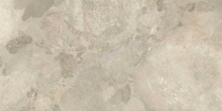  Imola Ceramica Crew Bitter Dove Grey TO 60x120 cm Bodenfliese / Wandfliese Matt Eben Naturale CR BIT 12TO RM (190641) | 490184