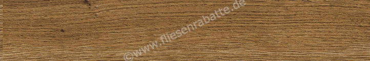  Ragno Ossimori Miele 20x120 cm Bodenfliese / Wandfliese Extra Matt Matt Eben Naturale R9TJ | 493748
