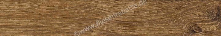  Ragno Ossimori Miele 20x120 cm Bodenfliese / Wandfliese Extra Matt Matt Eben Naturale R9TJ | 493751