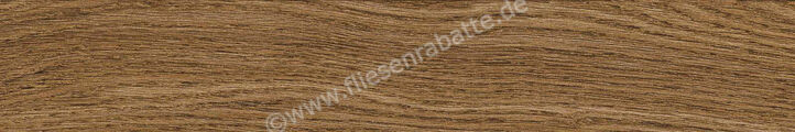  Ragno Ossimori Miele 20x120 cm Bodenfliese / Wandfliese Extra Matt Matt Eben Naturale R9TJ | 493757