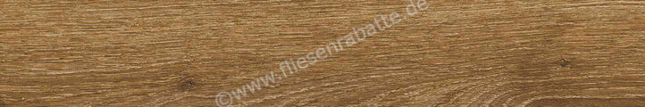  Ragno Ossimori Miele 20x120 cm Bodenfliese / Wandfliese Extra Matt Matt Eben Naturale R9TJ | 493766