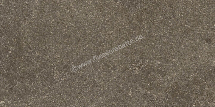 Ragno Realstone_Lunar Uniform 30x60 cm Bodenfliese / Wandfliese Matt Eben Naturale R7CL | 495527