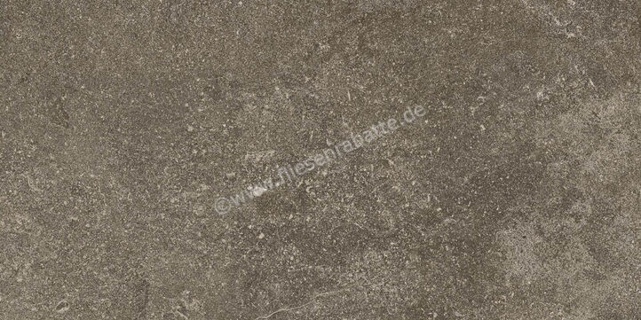 Ragno Realstone_Lunar Uniform 30x60 cm Bodenfliese / Wandfliese Matt Eben Naturale R7CL | 495530