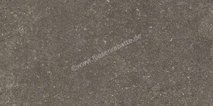 Ragno Realstone_Lunar Uniform 30x60 cm Bodenfliese / Wandfliese Matt Eben Naturale R7CL | 495533