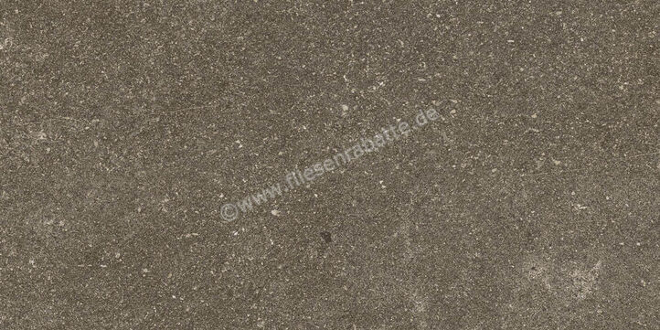 Ragno Realstone_Lunar Uniform 30x60 cm Bodenfliese / Wandfliese Matt Eben Naturale R7CL | 495536