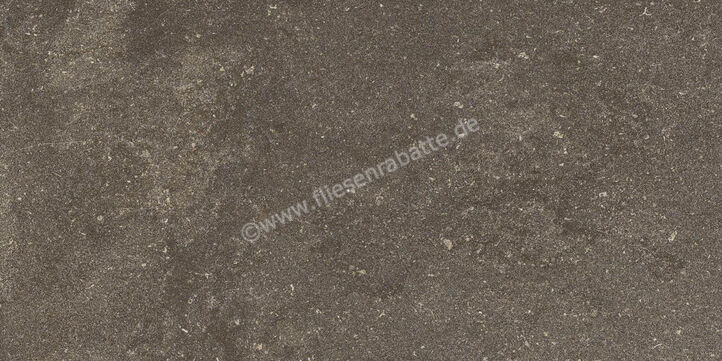 Ragno Realstone_Lunar Uniform 30x60 cm Bodenfliese / Wandfliese Matt Eben Naturale R7CL | 495539