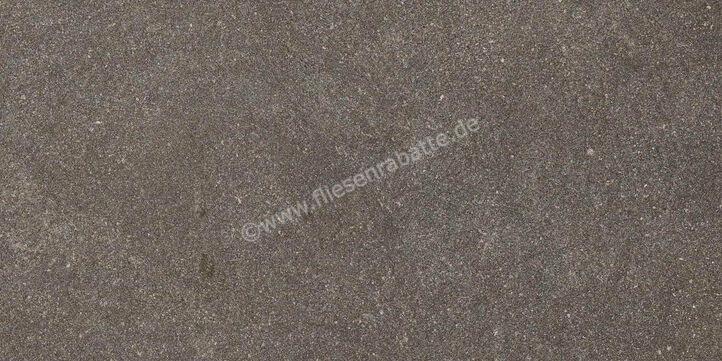 Ragno Realstone_Lunar Uniform 30x60 cm Bodenfliese / Wandfliese Matt Eben Naturale R7CL | 495545