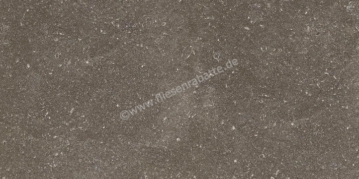 Ragno Realstone_Lunar Uniform 30x60 cm Bodenfliese / Wandfliese Matt Eben Naturale R7CL | 495548