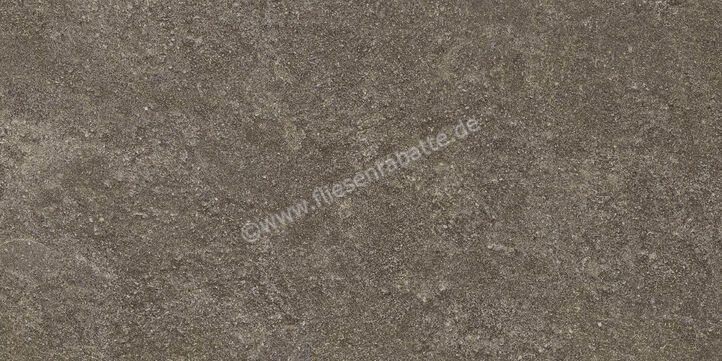 Ragno Realstone_Lunar Uniform 30x60 cm Bodenfliese / Wandfliese Matt Eben Naturale R7CL | 495554