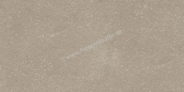 Ragno Realstone_Lunar Beige 30x60 cm Bodenfliese / Wandfliese Matt Eben Naturale R7CK | 495587