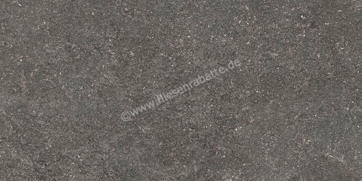 Ragno Realstone_Lunar Deep Grey 30x60 cm Bodenfliese / Wandfliese Matt Eben Naturale R7CH | 495635