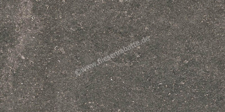 Ragno Realstone_Lunar Deep Grey 30x60 cm Bodenfliese / Wandfliese Matt Eben Naturale R7CH | 495638