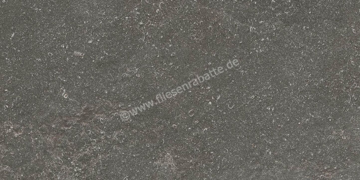 Ragno Realstone_Lunar Deep Grey 30x60 cm Bodenfliese / Wandfliese Matt Eben Naturale R7CH | 495647