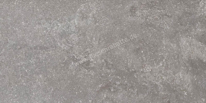 Ragno Realstone_Lunar Silver 30x60 cm Bodenfliese / Wandfliese Matt Eben Naturale R7CG | 495653
