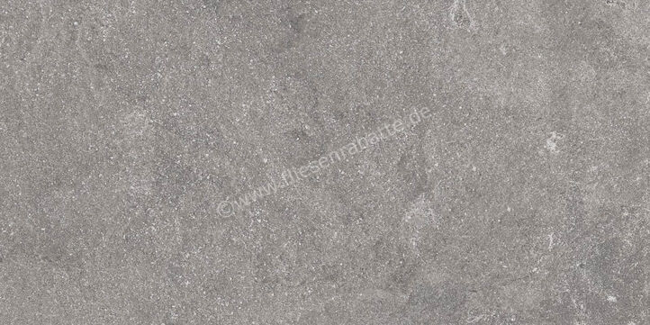 Ragno Realstone_Lunar Silver 30x60 cm Bodenfliese / Wandfliese Matt Eben Naturale R7CG | 495656