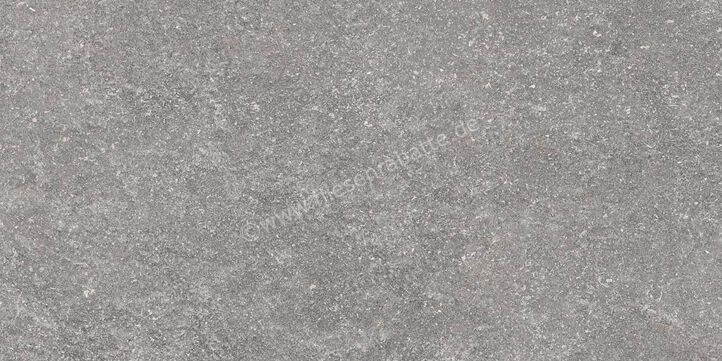 Ragno Realstone_Lunar Silver 30x60 cm Bodenfliese / Wandfliese Matt Eben Naturale R7CG | 495659