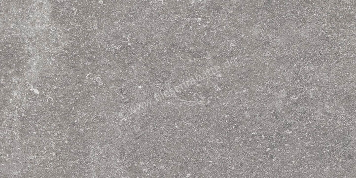Ragno Realstone_Lunar Silver 30x60 cm Bodenfliese / Wandfliese Matt Eben Naturale R7CG | 495662