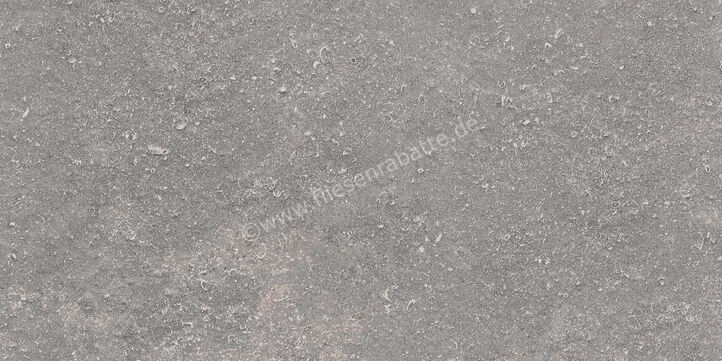 Ragno Realstone_Lunar Silver 30x60 cm Bodenfliese / Wandfliese Matt Eben Naturale R7CG | 495671