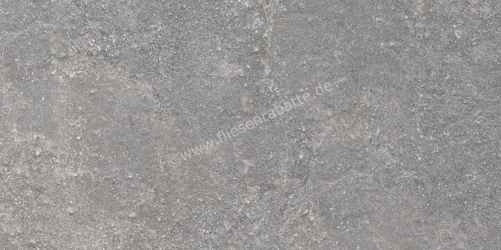 Ragno Realstone_Lunar Silver 30x60 cm Bodenfliese / Wandfliese Matt Eben Naturale R7CG | 495674