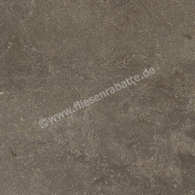 Ragno Realstone_Lunar Uniform 60x60 cm Bodenfliese / Wandfliese Matt Eben Naturale R7CE | 495677