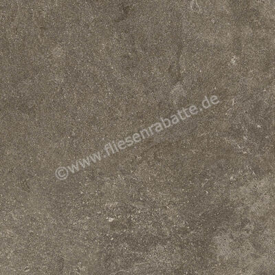 Ragno Realstone_Lunar Uniform 60x60 cm Bodenfliese / Wandfliese Matt Eben Naturale R7CE | 495680