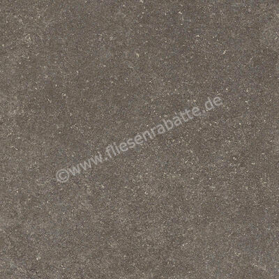 Ragno Realstone_Lunar Uniform 60x60 cm Bodenfliese / Wandfliese Matt Eben Naturale R7CE | 495683