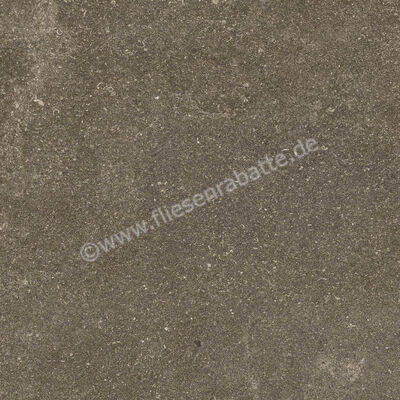 Ragno Realstone_Lunar Uniform 60x60 cm Bodenfliese / Wandfliese Matt Eben Naturale R7CE | 495686