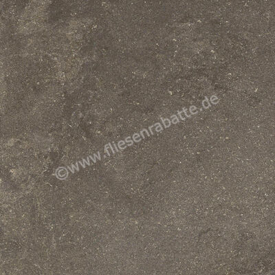 Ragno Realstone_Lunar Uniform 60x60 cm Bodenfliese / Wandfliese Matt Eben Naturale R7CE | 495689