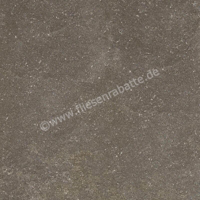 Ragno Realstone_Lunar Uniform 60x60 cm Bodenfliese / Wandfliese Matt Eben Naturale R7CE | 495695