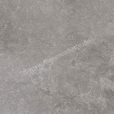 Ragno Realstone_Lunar Silver 60x60 cm Bodenfliese / Wandfliese Matt Eben Naturale R7AZ | 495773