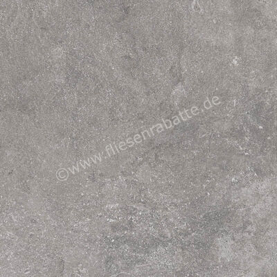 Ragno Realstone_Lunar Silver 60x60 cm Bodenfliese / Wandfliese Matt Eben Naturale R7AZ | 495776