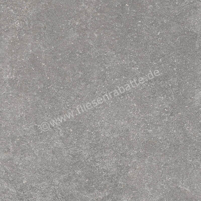 Ragno Realstone_Lunar Silver 60x60 cm Bodenfliese / Wandfliese Matt Eben Naturale R7AZ | 495779
