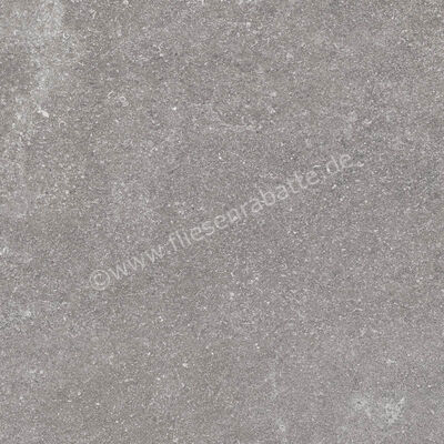 Ragno Realstone_Lunar Silver 60x60 cm Bodenfliese / Wandfliese Matt Eben Naturale R7AZ | 495782