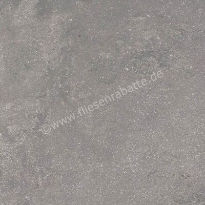 Ragno Realstone_Lunar Silver 60x60 cm Bodenfliese / Wandfliese Matt Eben Naturale R7AZ | 495785