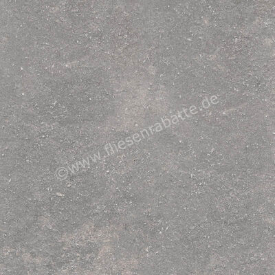 Ragno Realstone_Lunar Silver 60x60 cm Bodenfliese / Wandfliese Matt Eben Naturale R7AZ | 495791