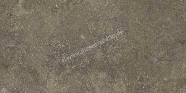 Ragno Realstone_Lunar Uniform 60x120 cm Bodenfliese / Wandfliese Matt Eben Naturale R7AX | 495800